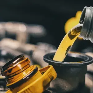 Numbers on Oil: What They Mean and Which One to Choose