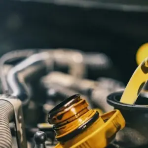 Numbers on Oil: What They Mean and Which One to Choose