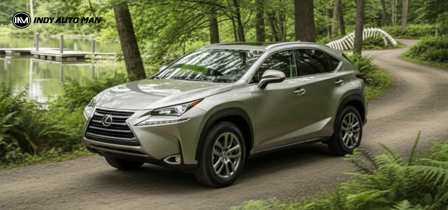 top 1- cars to buy in autumn | Lexus Nx