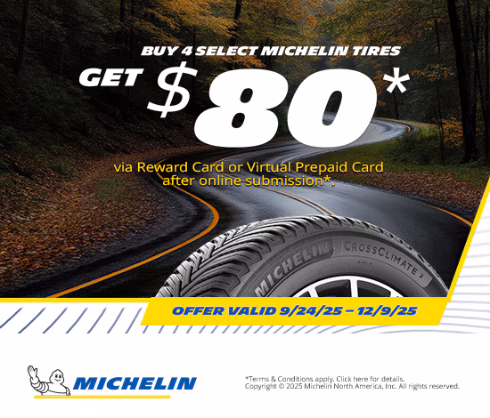 $80 - Michelin