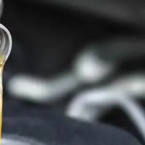 What Does an Oil Change Really Do?