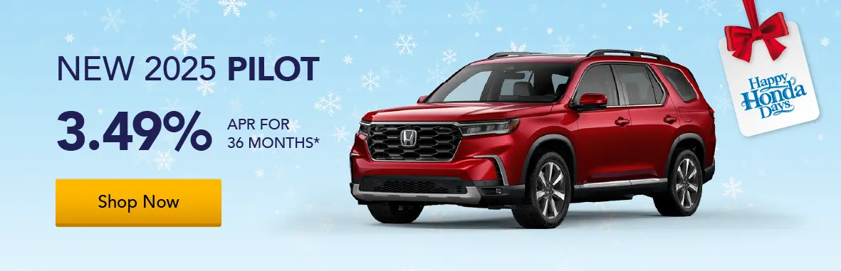 New 2025 Pilot