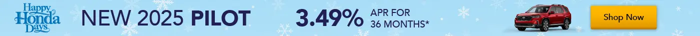 New 2025 Pilot