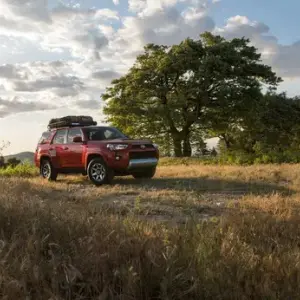 Explore Our Wide Selection of SUVs to Find the Right Fit for You