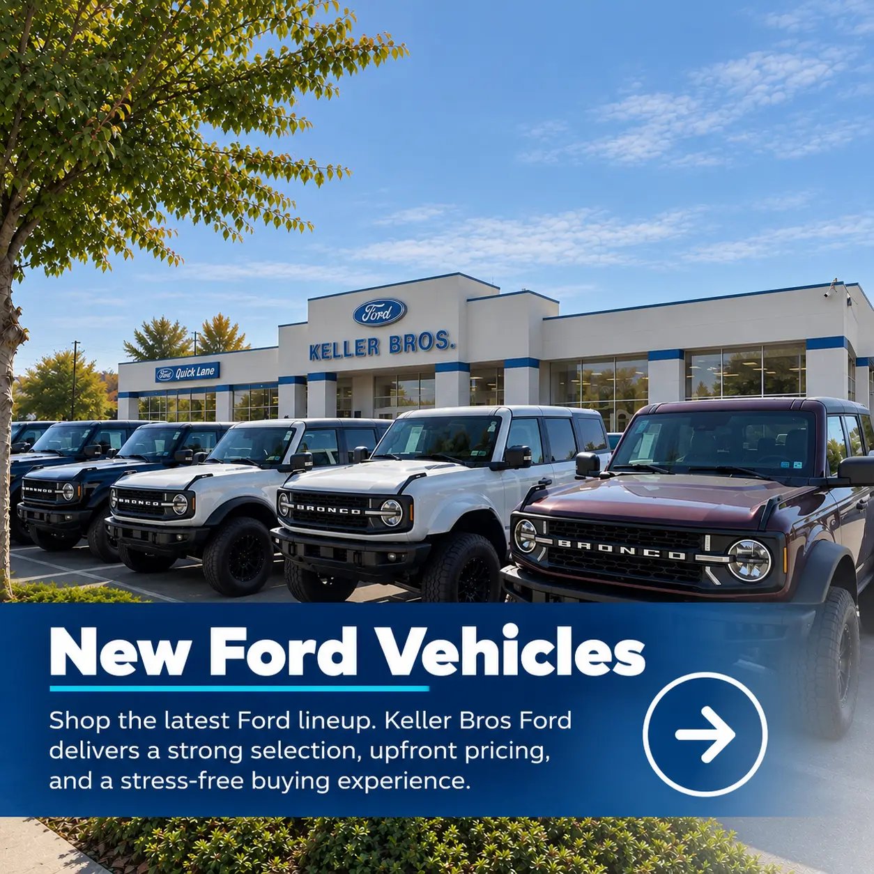 New Ford vehicles