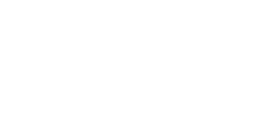 Ford Power Promise logo