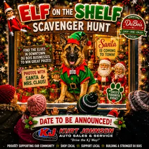 ELF on the SHELF!  Early December-TBA
