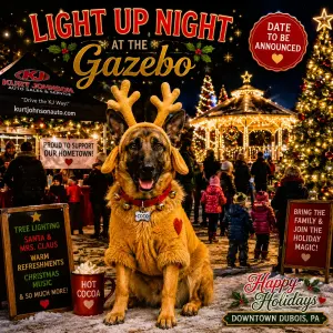 LIGHT UP NIGHT at DuBois Park! TBD