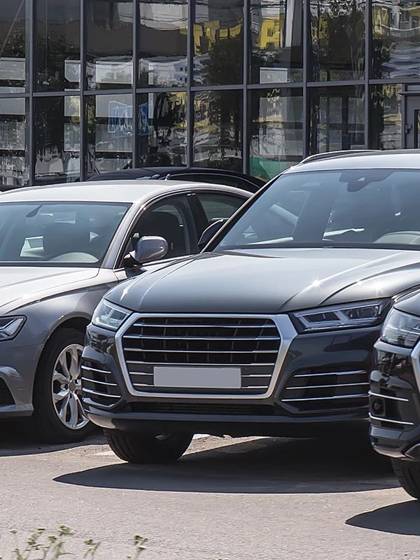 Martin Swanty's Paradise Auto