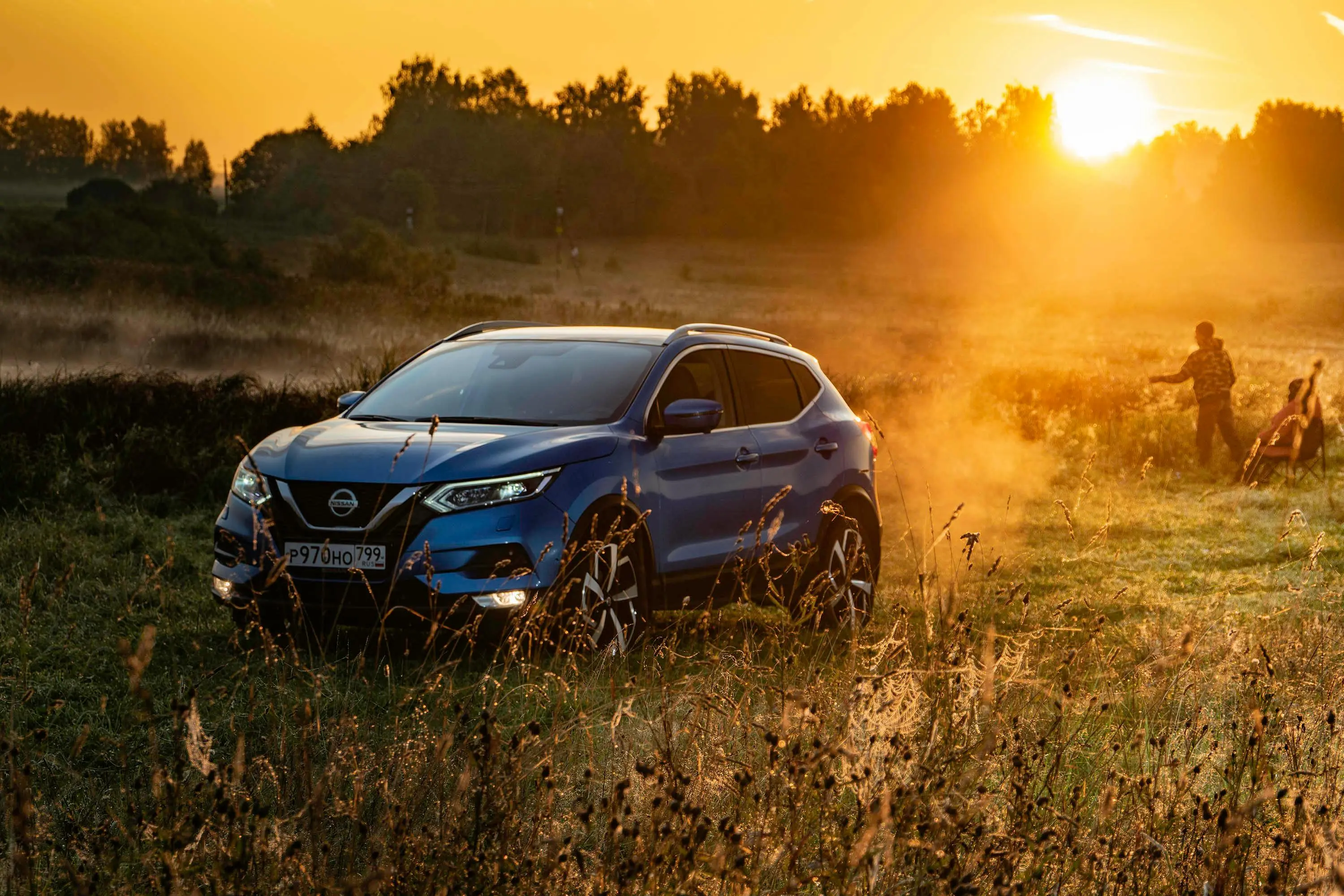 Blue Nissan Rogue in a field.