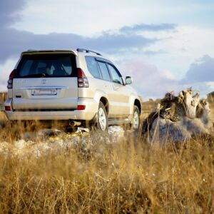 How to Choose the Best Used SUV for Your Family: 9 Essential Tips
