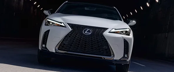 Lexus UX spindle grille detail