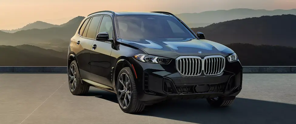 Black BMW X5 parked against a mountain landscape at sunset
