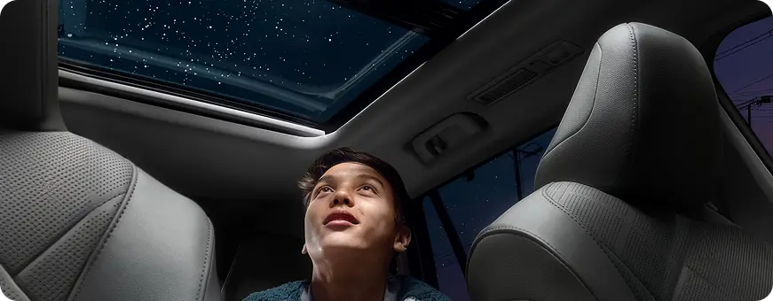 Passenger looking up through the panoramic moonroof at a starlit sky