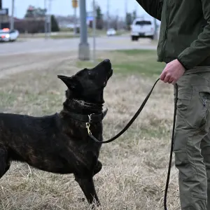 Mike Molstead Motors Helps Floyd County Sheriff's Office K9 Training in Charles City, Iowa
