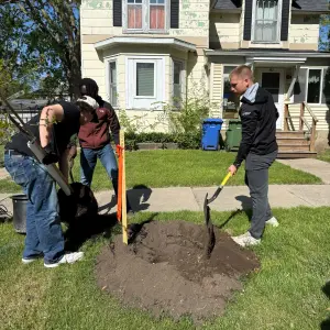 Planting Roots in Charles City