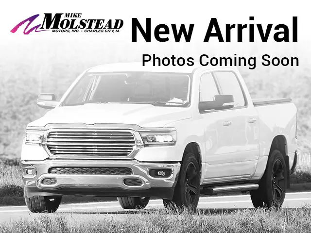 New arrival - photos coming soon