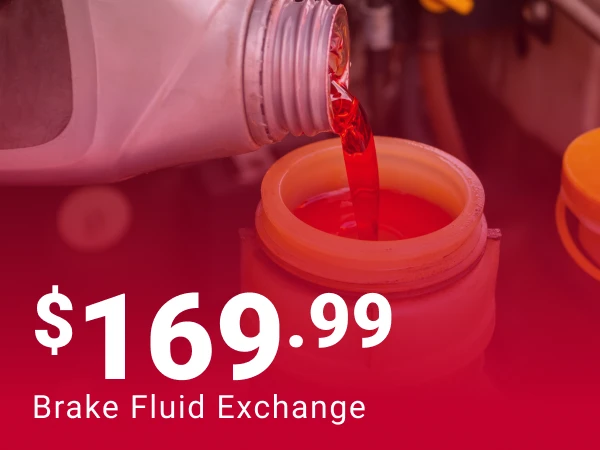 Brake Fluid Exchange