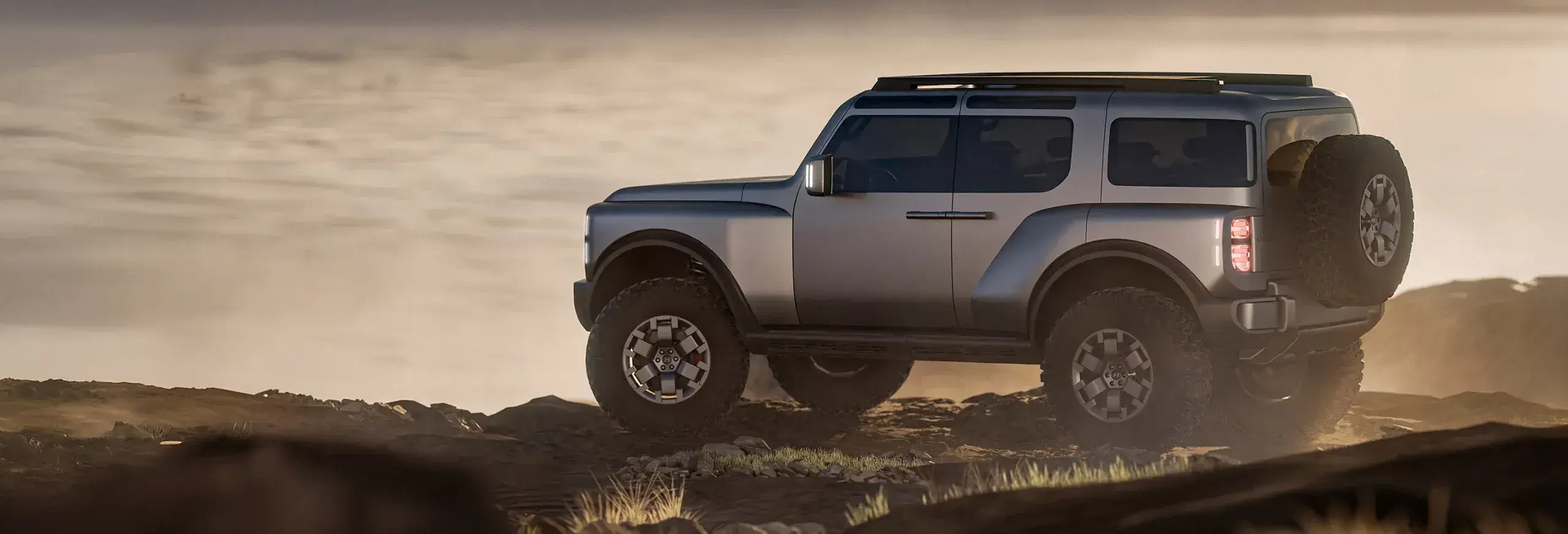 Silver Hyundai SUV with a rear-mounted spare tire on a rocky overlook, side view