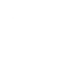 Toyota Logo.