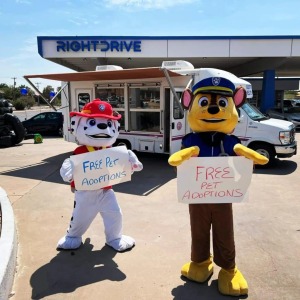 PetDrive at RightDrive