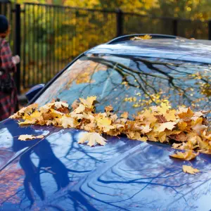 Kick Off the Fall with the Best Used Cars in El Paso