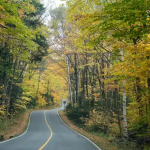 Best Cars for a CT Fall Foliage Road Trip | Star Auto Sales