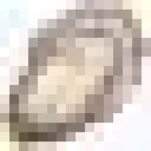 Savannah Area Chamber Oyster Roast