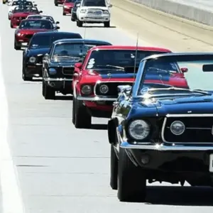 National Mustang Day - Enthusiasts Celebrate The Birth of Ford Performance