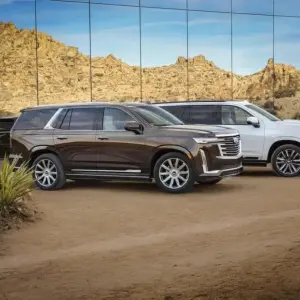 Exciting Vehicles Coming in 2020