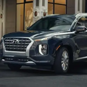Introducing the Hyundai Palisade's New VIP Package
