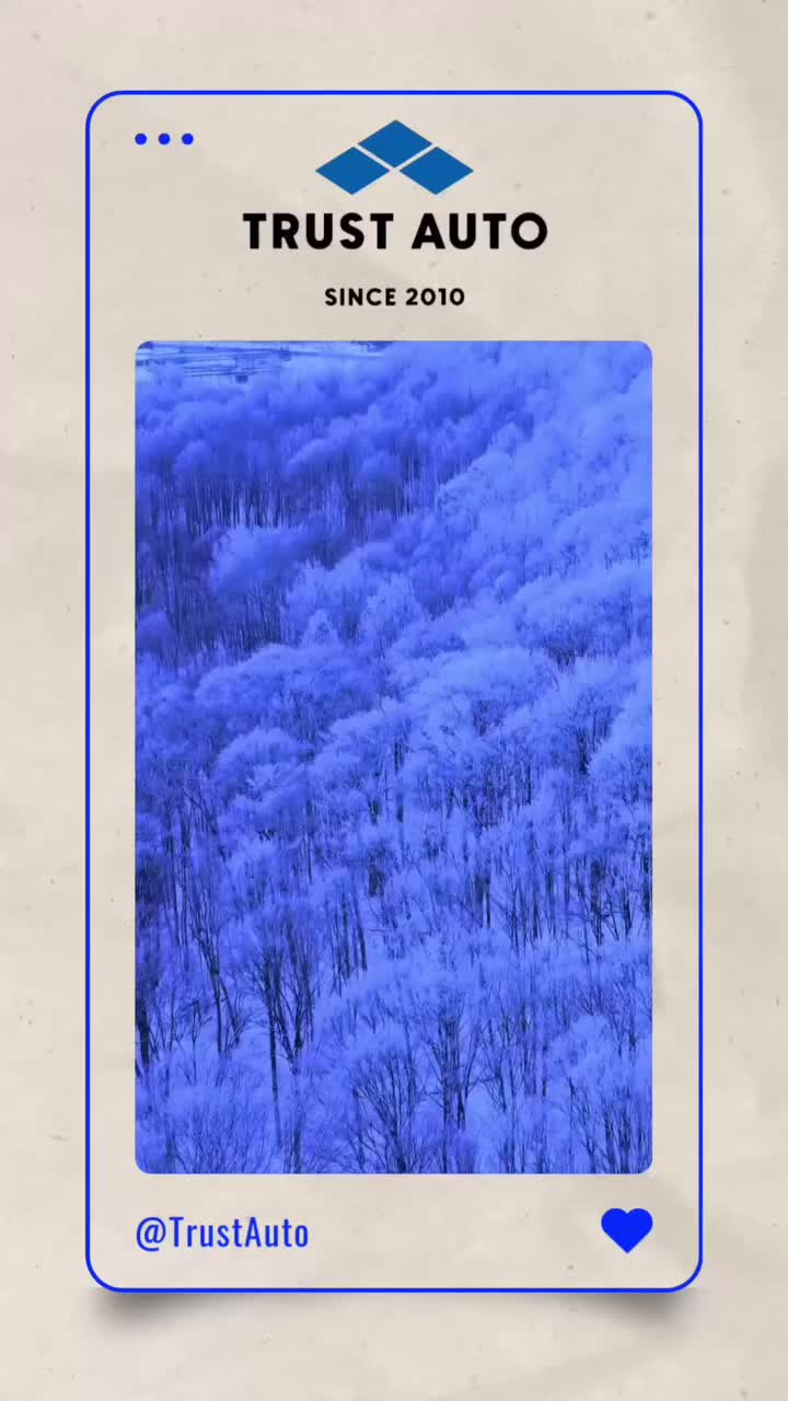 video placeholder