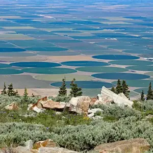 Used Car Sales & Rentals for Burley, ID | Twin Falls