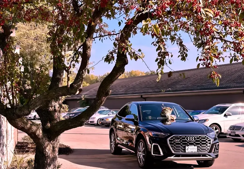 Black Audi Q5 parked outside Universal Imports dealership.