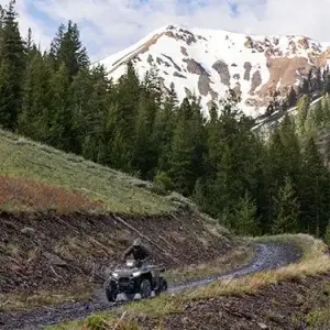 Your Winchester Cycle Center Has The Best Youth Atvs