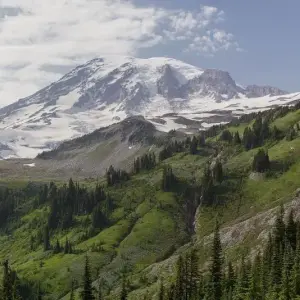 Mount Rainier RV Camping Guide