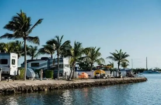 Campers next to Water and Tropical Trees