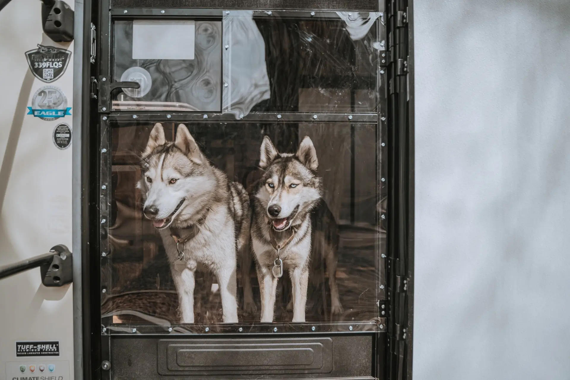 Two Dogs Standing at the Camper Door