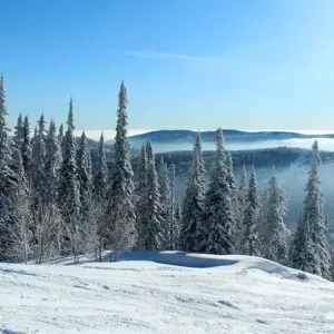 Beginner Tips for Winter RV Camping