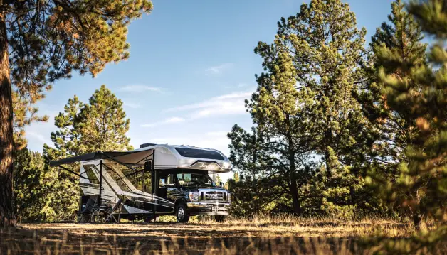Motorhome RV parked in a forest campsite with trees and sunlight.