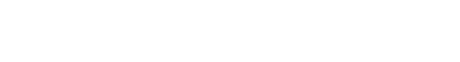 Fleetrite Logo
