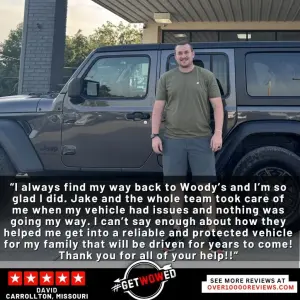 David - Wow Woody's