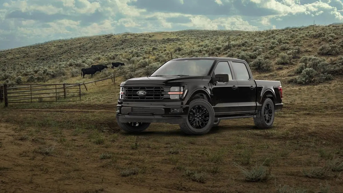 2026 Ford F-150 XLT with Black Appearance Package
