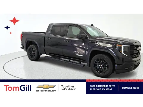Gray 2024 GMC Sierra 1500 Elevation for sale in Florence, KY