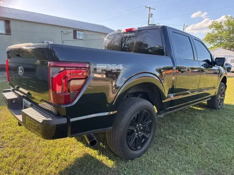 More photos of 2024 Ford F-150 Platinum at Hixson Chevrolet of DeRidder, LA