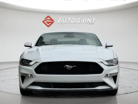 Another view of 2019 Ford Mustang EcoBoost Premium for sale in Fishers, IN at AutoGiant USA Fishers