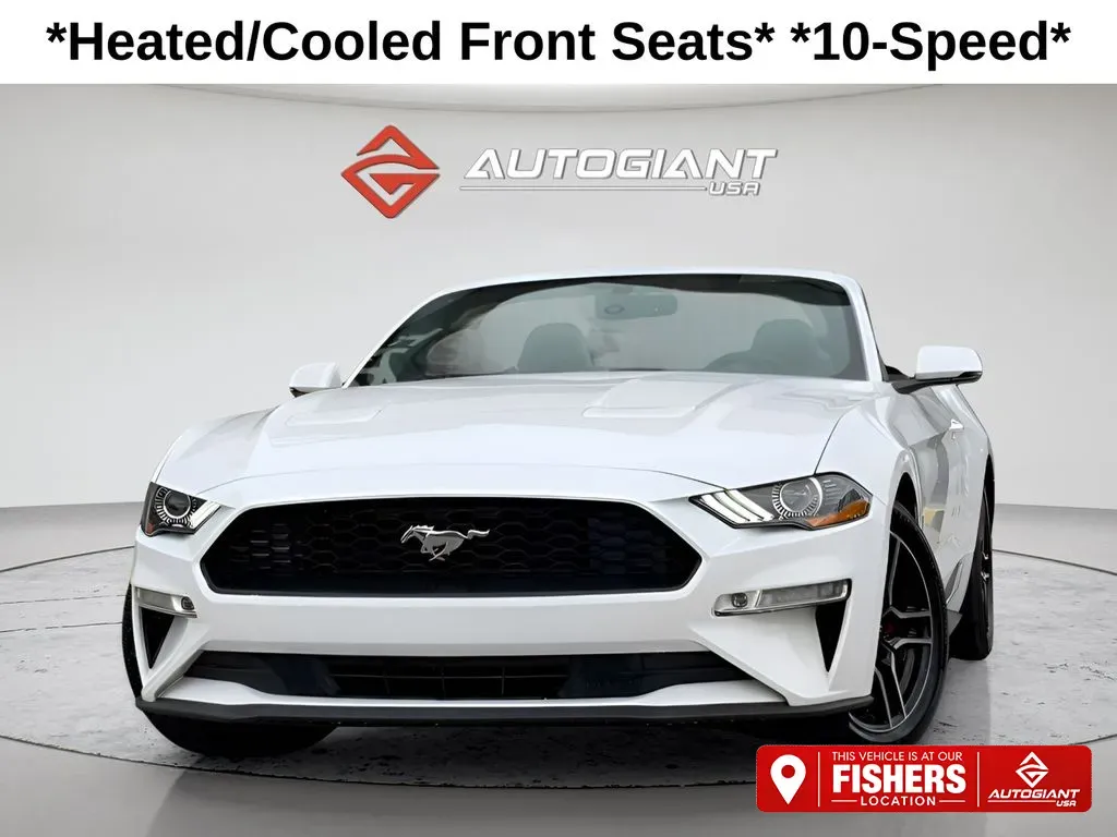2019 Ford Mustang