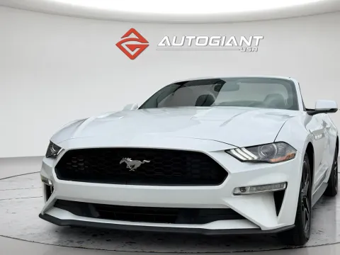 More photos of 2019 Ford Mustang EcoBoost Premium at AutoGiant USA Fishers, IN