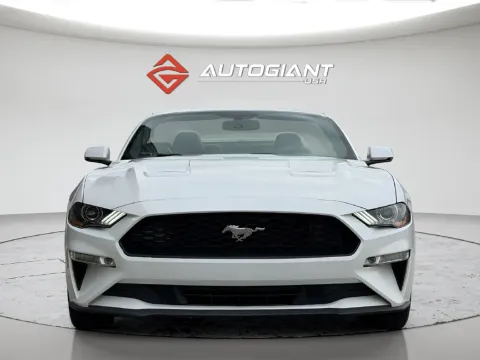 Another view of 2019 Ford Mustang EcoBoost Premium for sale in Fishers, IN at AutoGiant USA Fishers