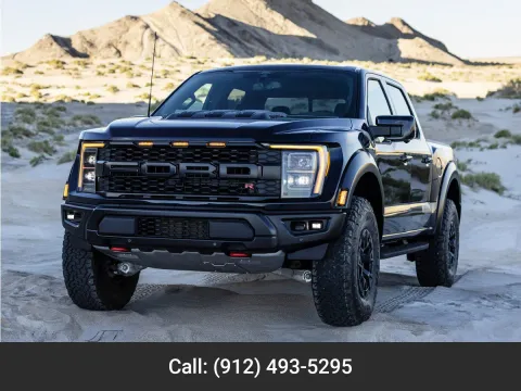 Gray 2023 Ford F-150 Raptor for sale in Baxley, GA